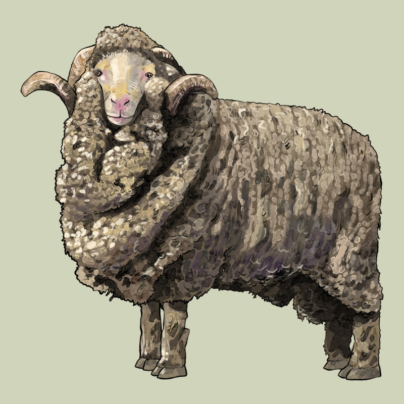 Merino Wool Sheep Heavyweight Hoodie by LillyAllenDesigns | Teevron