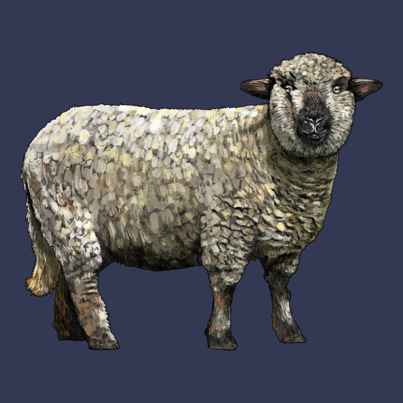Hampshire Sheep Heavyweight Hoodie by LillyAllenDesigns | Teevron
