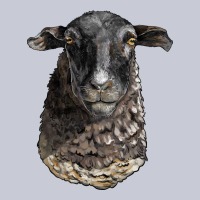 Dorper Sheep Head Heavyweight Hoodie | Teevron