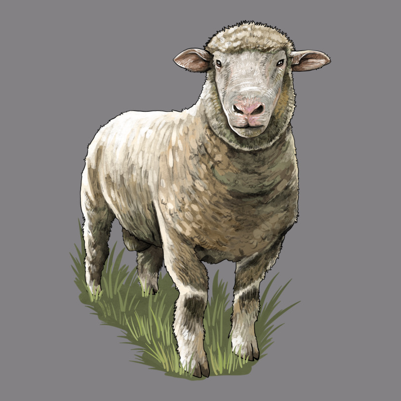 Dorset Sheep Heavyweight Hoodie by LillyAllenDesigns | Teevron