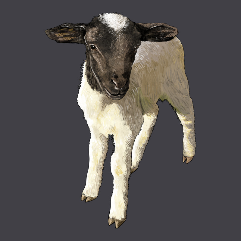 Dorper Baby Sheep Heavyweight Hoodie by LillyAllenDesigns | Teevron