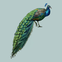 Peacock Heavy Core Tee | Teevron