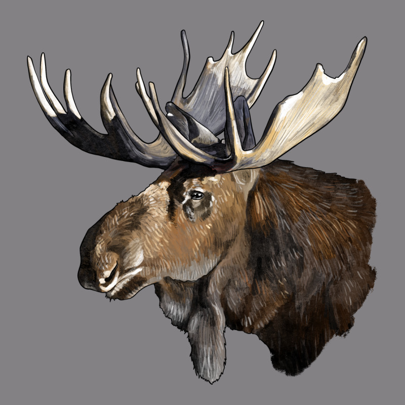 Moose Buck Deer Head Heavyweight Hoodie by LillyAllenDesigns | Teevron