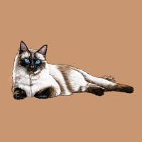 Siamese Heavyweight Hoodie | Teevron