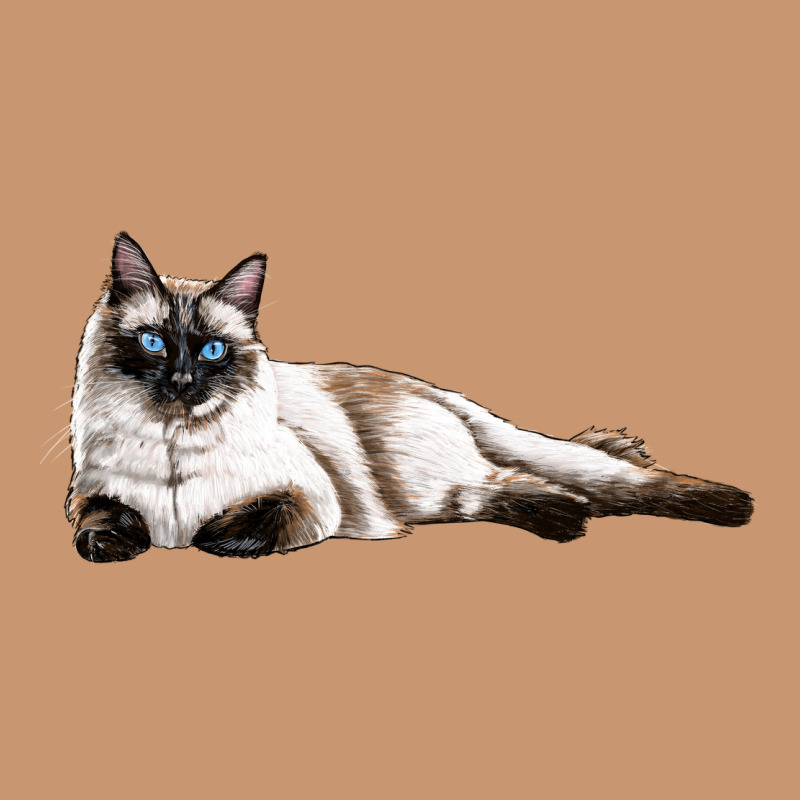Siamese Heavyweight Hoodie by LillyAllenDesigns | Teevron