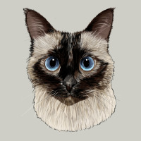 Siamese Face Heavyweight Hoodie | Teevron