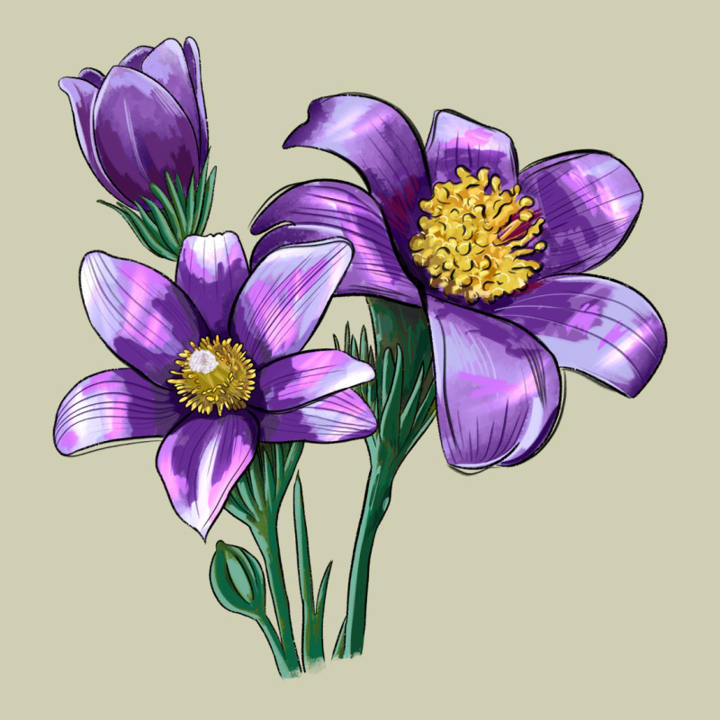 Pasque Flower Illustrations Heavy Core Tee by LillyAllenDesigns | Teevron