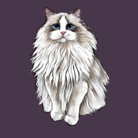 Ragdoll Cat Heavyweight Hoodie | Teevron