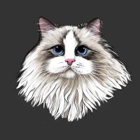 Ragdoll Face Cat | Teevron