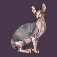 Sphynx Cat Heavyweight Hoodie | Teevron