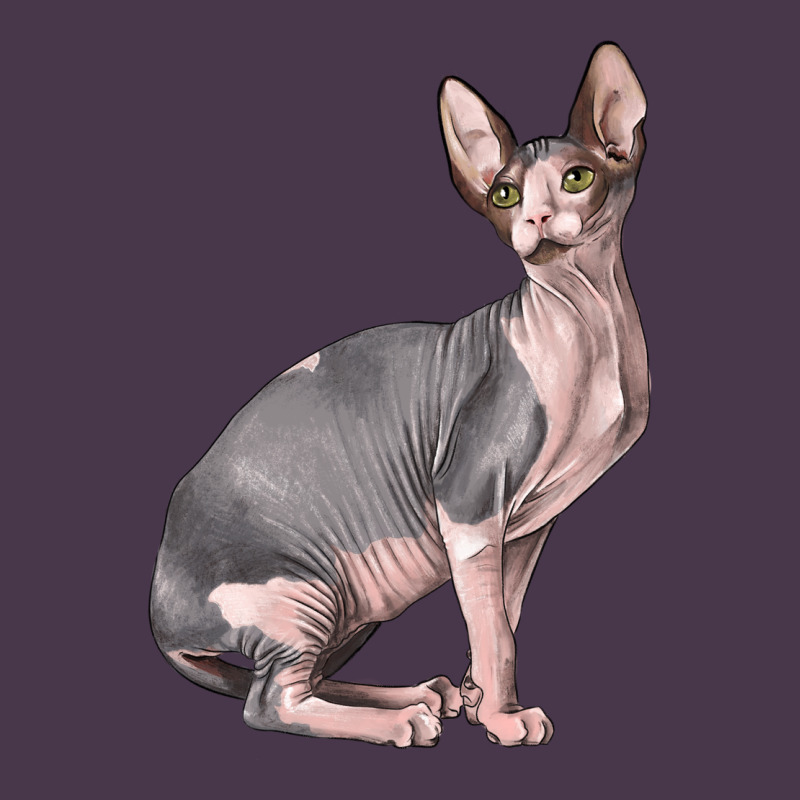 Sphynx Cat Heavyweight Hoodie by LillyAllenDesigns | Teevron