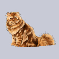 Persian Cat Heavyweight Hoodie | Teevron