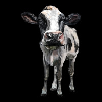 Holstein Cow Urban Hoodie | Teevron