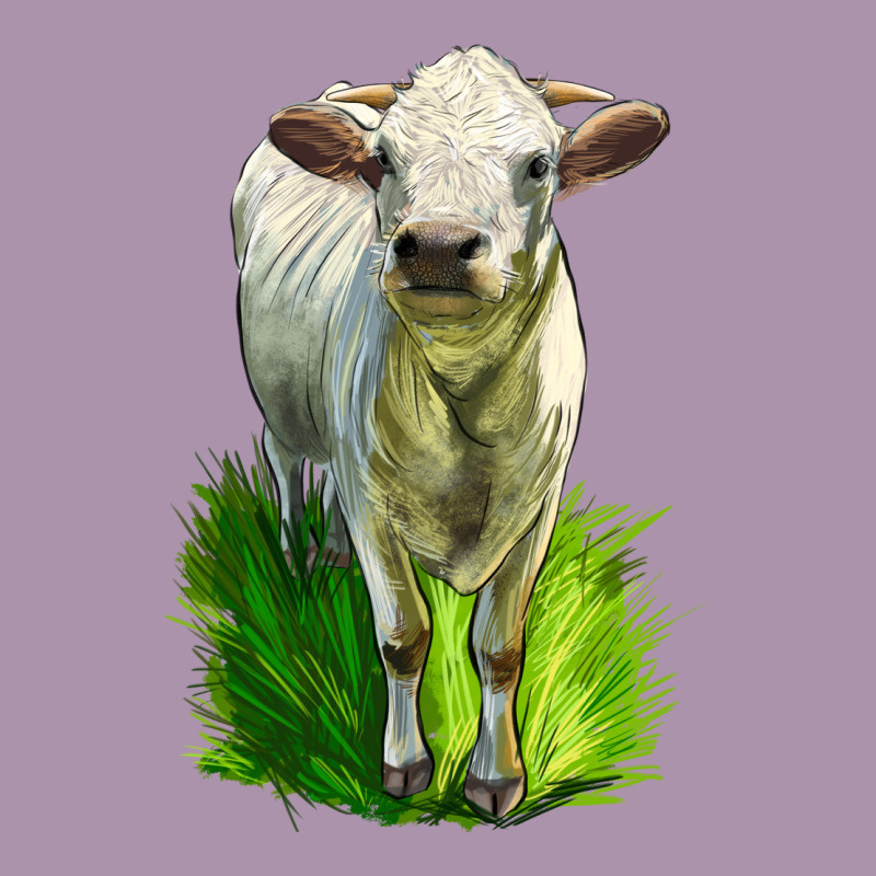 Charolais Heifer Heavyweight Hoodie by LillyAllenDesigns | Teevron