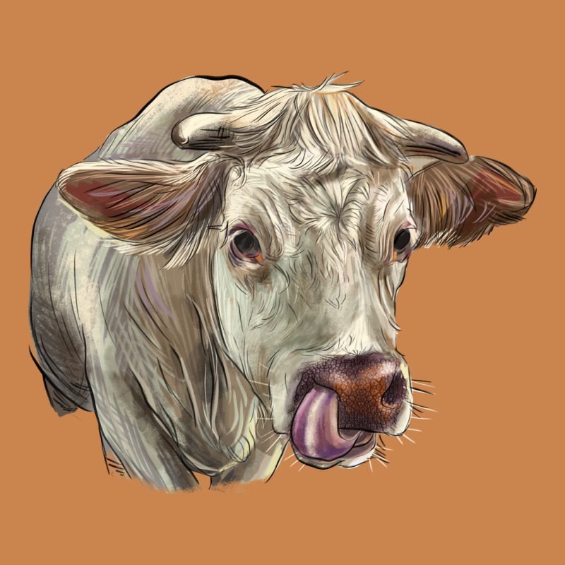 Charolais Cattle Face Heavyweight Hoodie by LillyAllenDesigns | Teevron