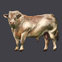 Charolais Bull Heavyweight Hoodie | Teevron
