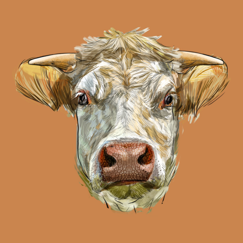 Charolais Bull Face Heavyweight Hoodie by LillyAllenDesigns | Teevron