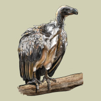 Vulture Bird Heavy Core Tee | Teevron