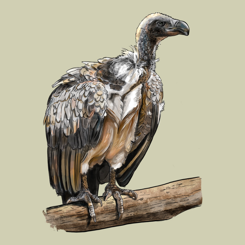 Vulture Bird Heavy Core Tee by LillyAllenDesigns | Teevron