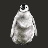 Baby Penguin Heavy Core Tee | Teevron