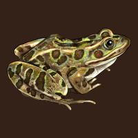 Northern Leopard Frog Heavy Core Tee | Teevron
