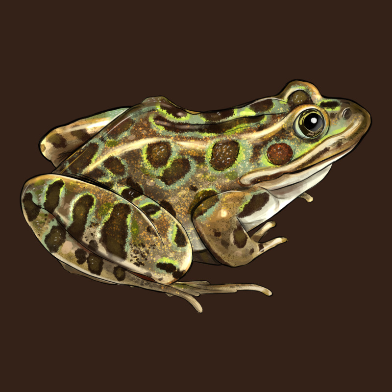 Northern Leopard Frog Heavy Core Tee by LillyAllenDesigns | Teevron