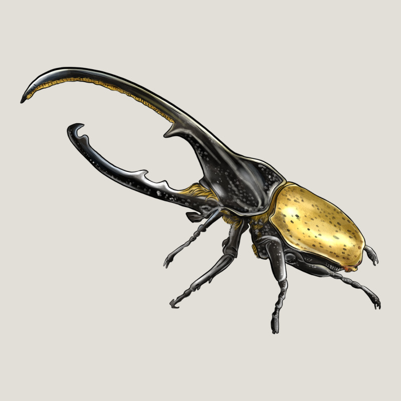 Hercules Beetle Side Heavy Core Tee by LillyAllenDesigns | Teevron