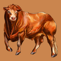 Red Angus Bull Heavyweight Hoodie | Teevron