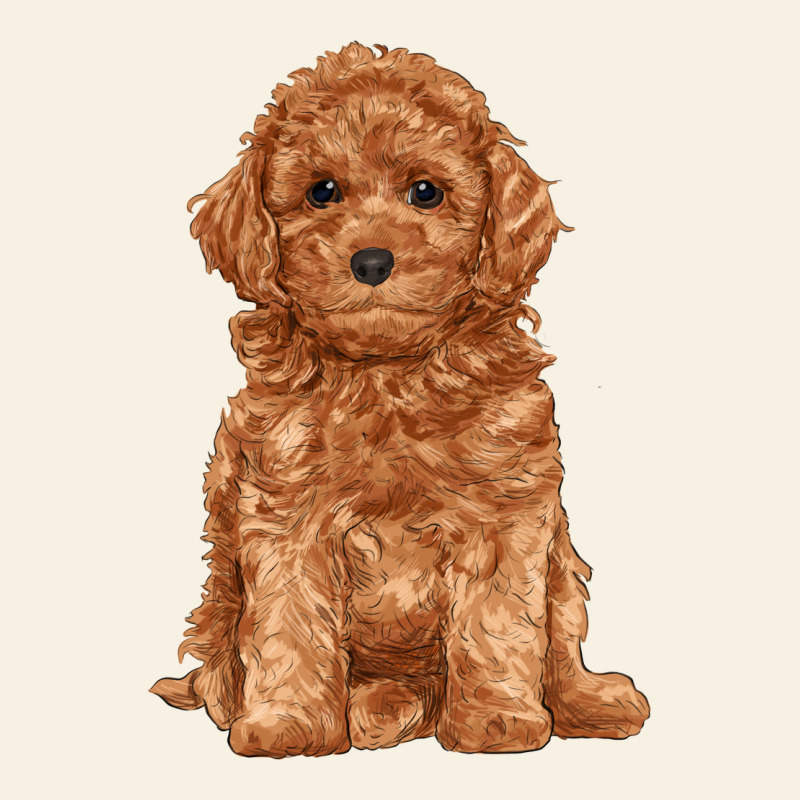 Toy Poodle Vintage Tee by RanaPortraitStore | Teevron