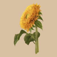 Teddy Bear Sunflower Heavyweight Hoodie | Teevron