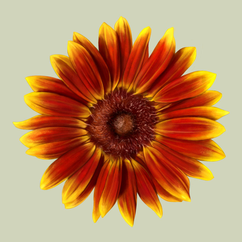 Little Becka Sunflower Heavyweight Hoodie by LillyAllenDesigns | Teevron