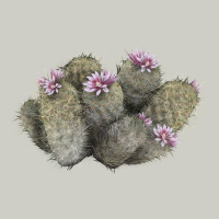 Cob Beehive Cactus Heavyweight Hoodie | Teevron