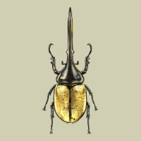 Hercules Beetle Heavy Core Tee | Teevron