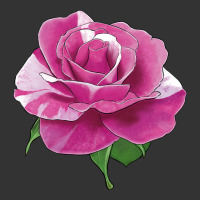 parade day rose | Teevron