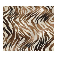 brown zebra | Teevron