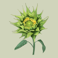 Sun Fill Green Green Sunflower Heavyweight Hoodie | Teevron