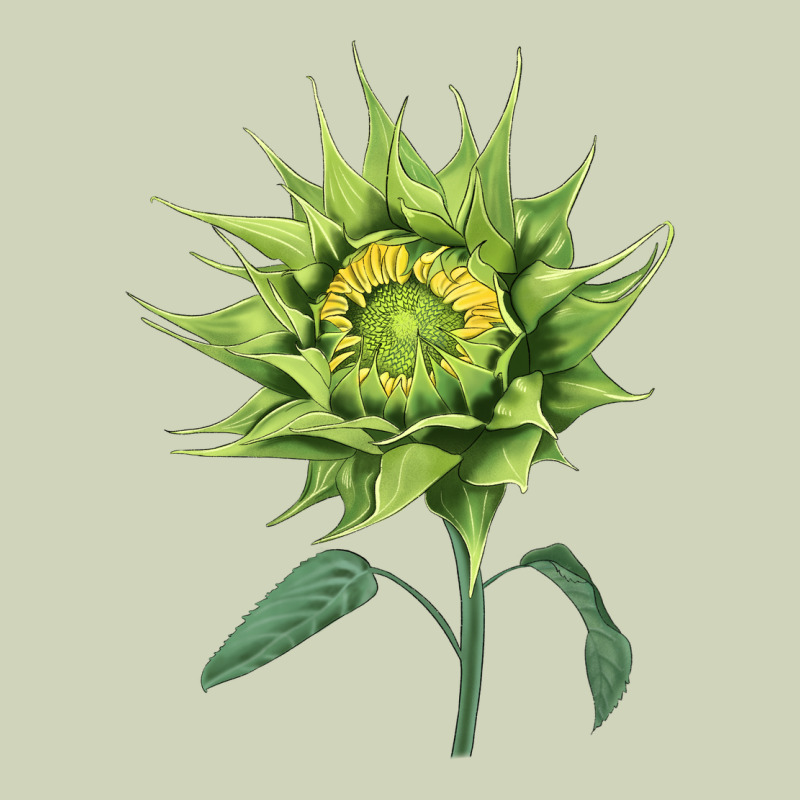 Sun Fill Green Green Sunflower Heavyweight Hoodie by LillyAllenDesigns | Teevron