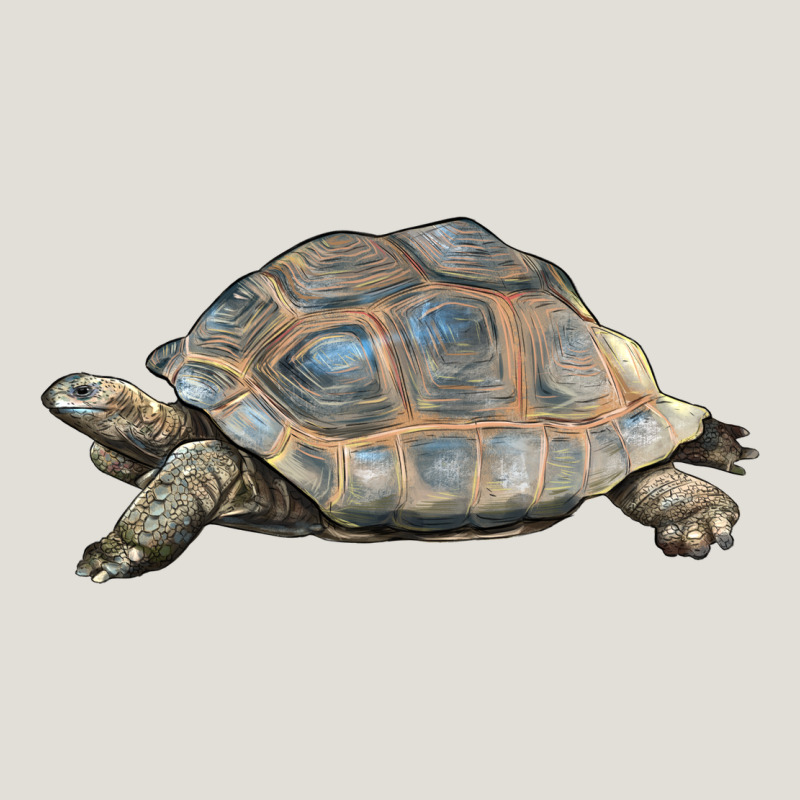 Tortoise Illustrations Heavy Core Tee by LillyAllenDesigns | Teevron