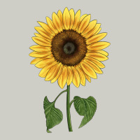 Giganteus Sunflower Heavyweight Hoodie | Teevron