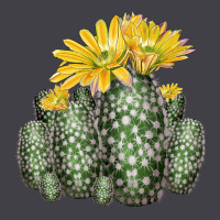 Texas Rainbow Cactus Heavyweight Hoodie | Teevron