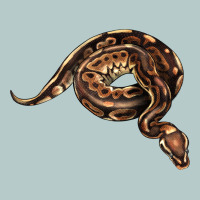 Royal Ball Python Illustrations Heavy Core Tee | Teevron