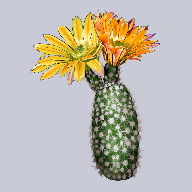 Texas Rainbow Cactus Heavyweight Hoodie by LillyAllenDesigns | Teevron