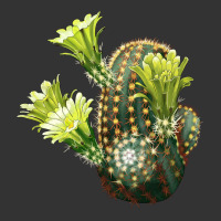 nylon hedgehog cactus | Teevron