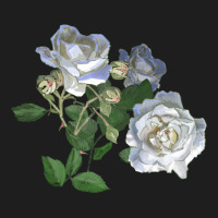 White Dawn Rose Heavyweight Hoodie | Teevron