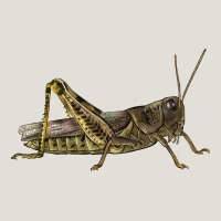 Grasshopper Heavy Core Tee | Teevron