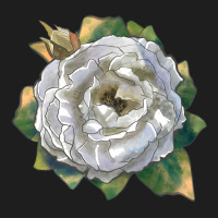 Pillow Fight Rose Heavyweight Hoodie | Teevron
