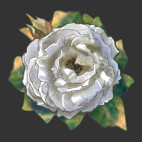 pillow fight rose | Teevron