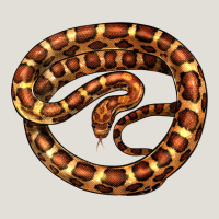 Corn Snake Illustrations Heavy Core Tee | Teevron