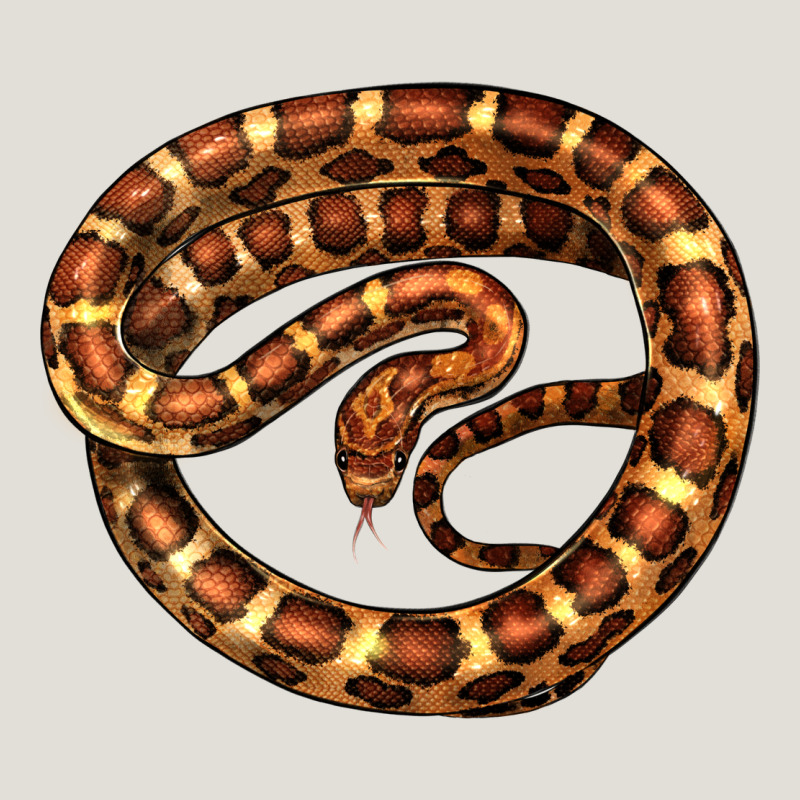 Corn Snake Illustrations Heavy Core Tee by LillyAllenDesigns | Teevron