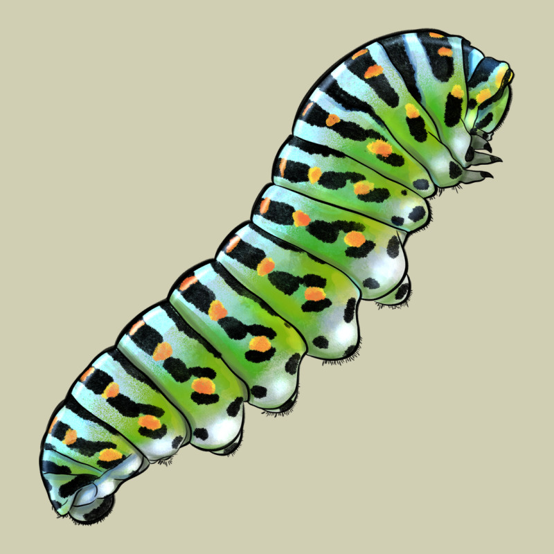 Papilio Machaon Caterpillar Heavy Core Tee by LillyAllenDesigns | Teevron